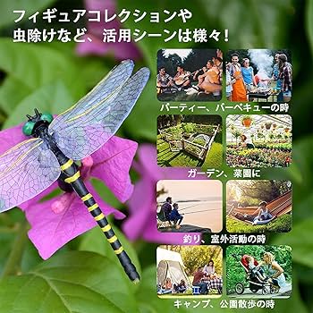 昆虫大系 51EHDcPCbQL._AC_SY200_QL15_.jpg